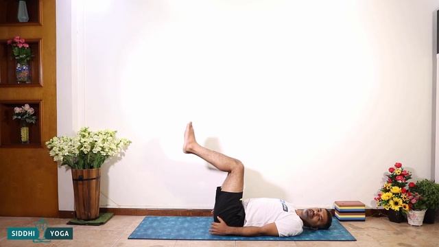 Halasana (Plow Pose) How to Do Step by Step for Beginners, Benefits, Precautions | Yoga Inversions смотреть онлайн
