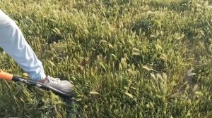 Раскопки на старом городище! #3 Часть третья!