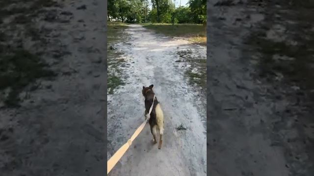 Стрим 16/07/2023