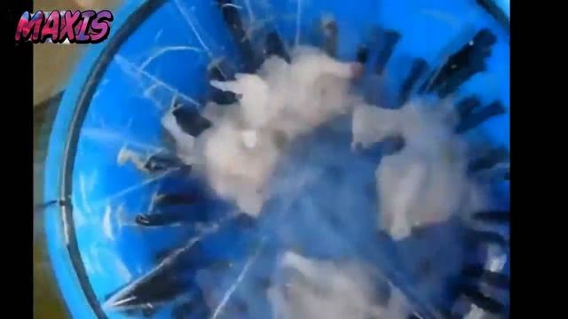 топ крутых самоделок своими руками часть 2 эпизод 1