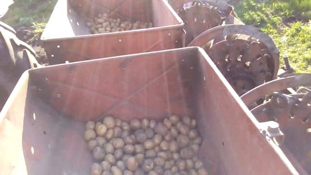 Быстрая посадка картофеля, трактором Мтз ,картофеле сажалкой. смотреть онлайн