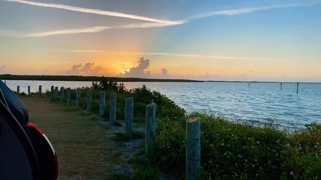 ? ГДЕ я провела НОЧЬ ? Болталка ЖИЗНЬ кочевая КОЧЕВНИКИ на колёсах Флорида США 31.03.2021