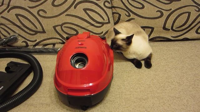 Обзор пылесоса SCARLETT SC-VC80B03 смотреть онлайн