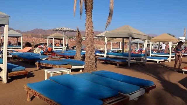 ПЛЯЖ ALBATROS AQUA BLU И ALBATROS AQUA PARK / ШАРМ ЭЛЬ ШЕЙХ ЕГИПЕТ смотреть онлайн
