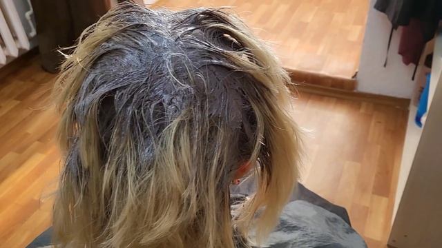 Окрашивание седых волос. Не сильное затемнение , плавный переход в блонд. Эстель. смотреть онлайн