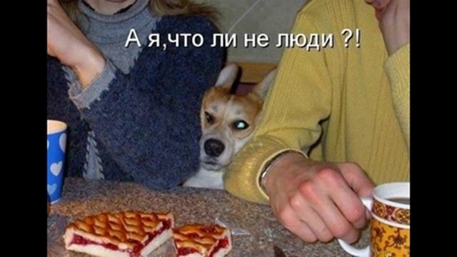 прикольные классные фотки смотреть онлайн
