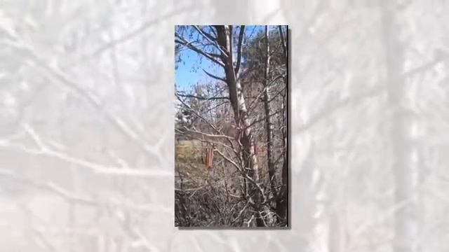 ☼ Окружающий МИР! Окресности Житомира) смотреть онлайн