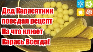 На что ловить карася Насадка на Карася Карпа Леща