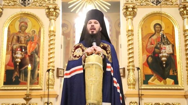 Литургия в Вознесенском кафедральном соборе Кузнецка 17 12 2017 смотреть онлайн
