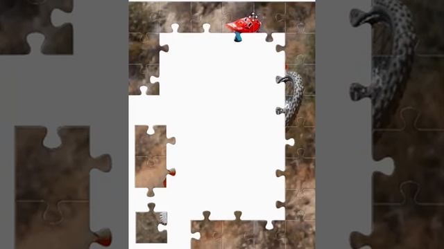 Moto puzzle смотреть онлайн