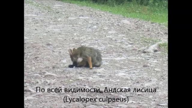 Аргентина. Умауака. Яла. Корриентес. Мисьонес. смотреть онлайн