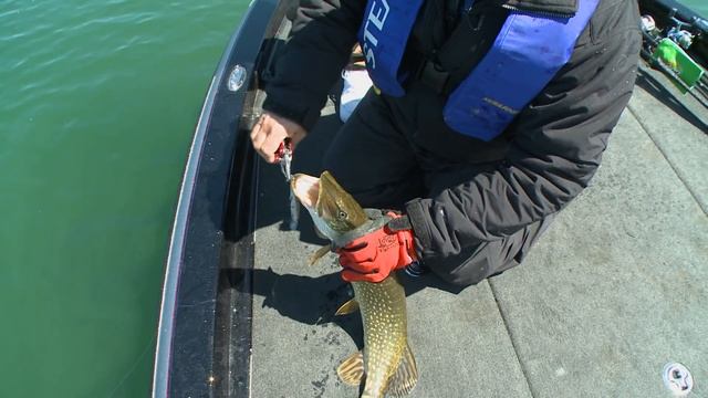 Pike Fishing In Lake Ontario - Bob Izumi and Taro Murata смотреть онлайн