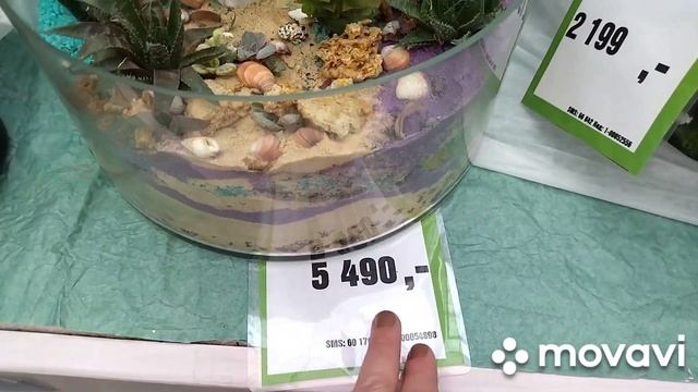 Цветочные композиции. Разные варианты. смотреть онлайн