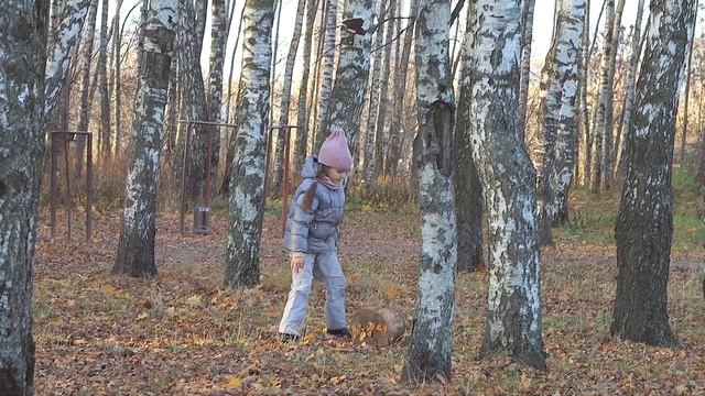 Autumn videos смотреть онлайн