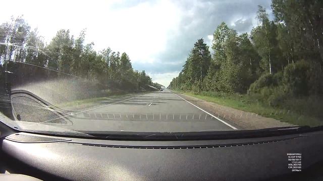 Псковская область. Журавль на обочине дороги. смотреть онлайн