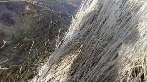 Рыбалка на ереке Дриганов. Рыбалка у Горбатого моста