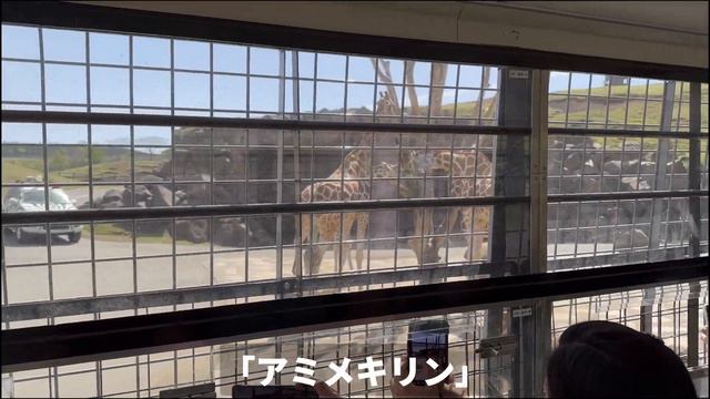 チビッ子だけじゃない！ジジイでも楽しい♪「春」と「秋」がベストシーズンの行楽地 смотреть онлайн