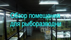 Обзор помещения для рыборазводни часть 1