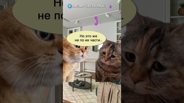 Достучаться до небес #мыкотики #вмем #разговор #анекдот #шутки #кот #юмор #смешное #прикольно #мемы смотреть онлайн