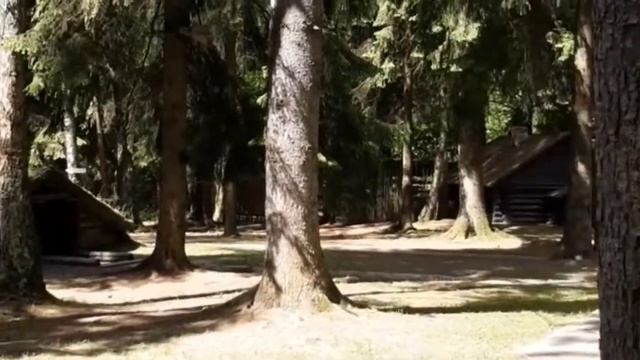 Bassdance Irish Dance Summer Camp 2022 смотреть онлайн