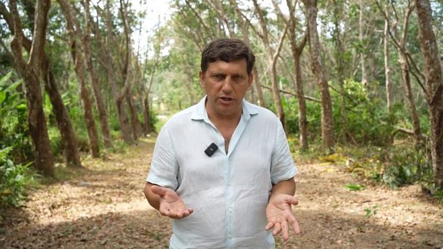 Как купить квартиру на ПХУКЕТЕ (от А до Я) смотреть онлайн