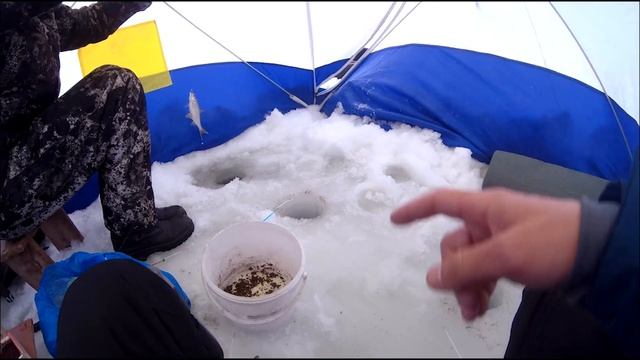 Рыболовный РОЗЫГРЫШЬ | Душевная рыбалка с другом | Зимняя Рыбалка на плотву смотреть онлайн