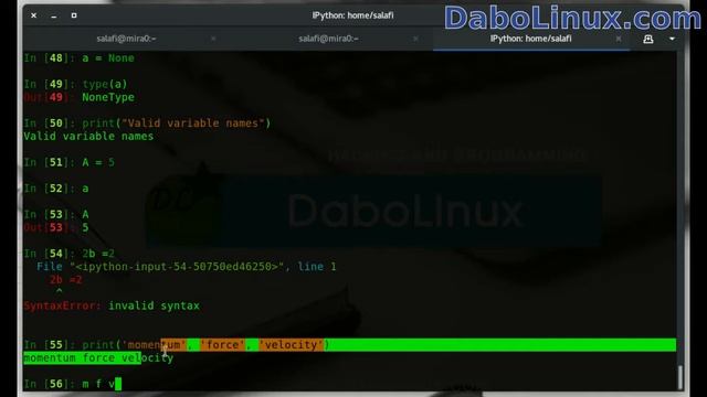 #03 Variables | DaboLinux Python3 Tutorial смотреть онлайн