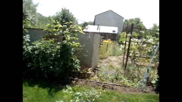 Солнечный выходной смотреть онлайн