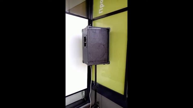 Двухполосная звуковая система 12 дюймов + драйвер 1 дюйм. смотреть онлайн