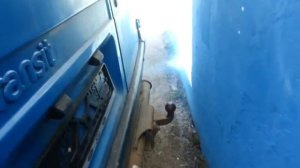 Форд Транзит 2.5d 1991 синим дымит