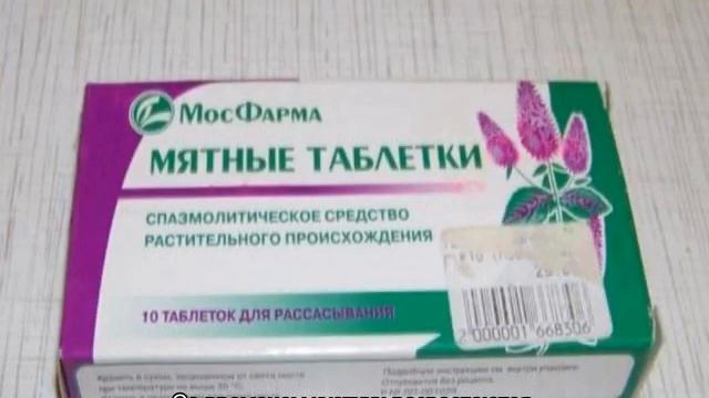 Мята и мелисса — отличия, что лучше смотреть онлайн