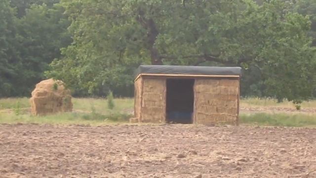 Домик из соломы в поле