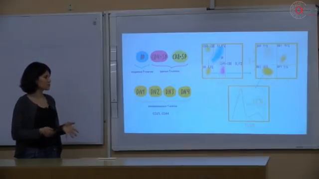 Галина Вирясова: "Проточная цитометрия" смотреть онлайн