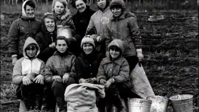 ВК Аккорд -- Любовь не картошка смотреть онлайн