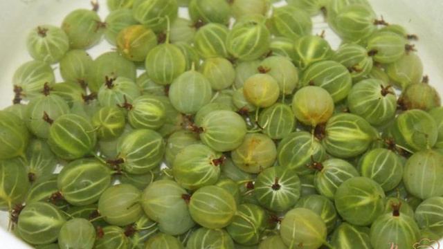 1000 и 1 рецепт