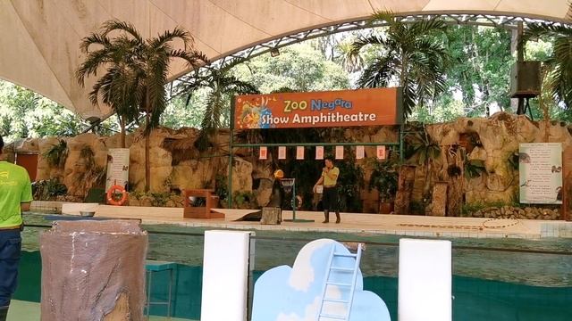 Zoo Negara Kuala Lumpur - Multi Animal Show @ Animal Show Amphitheater | Sea lion, Macaws, Binturon смотреть онлайн
