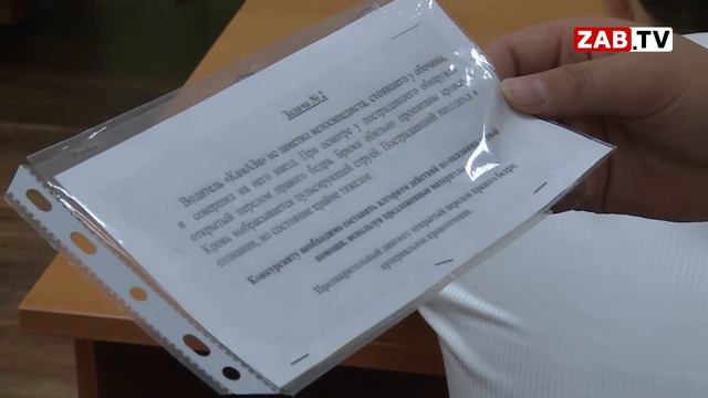 Сотрудникам ГИБДД помогают в работе три тысячи детей смотреть онлайн
