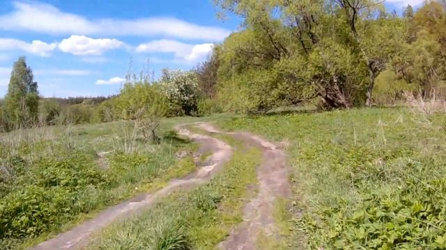 Маршрут Аргуново (вдоль реки) [7/16] Осмотр останков церкви в Аргуново смотреть онлайн