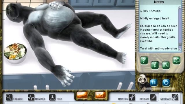 Zoo Vet: Endangered Animals - Case 4 (Lowland Gorilla) смотреть онлайн