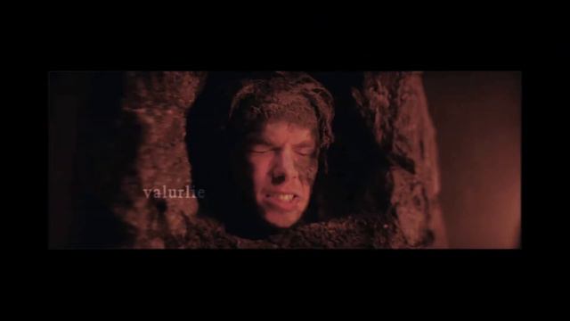 Caliban + Sabrina // Animals