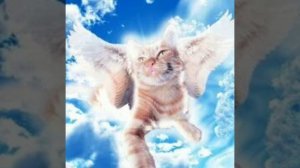 Симба:Почему же ты ушёл (ОФИЦИАЛЬНЫЙ КЛИП) ??