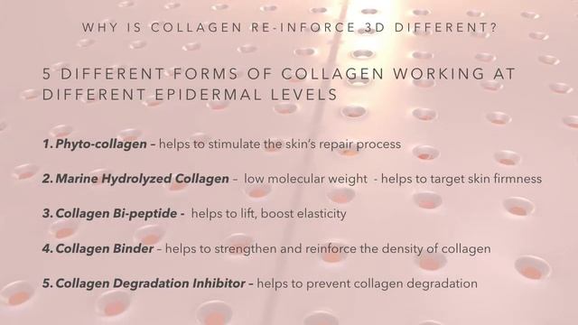 COLLAGEN RE-INFORCE 3D LINE смотреть онлайн