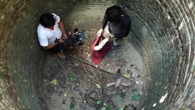 murliwale hausla snake bite।@murlivalehausla4373@Mobaraksnakesaver hausla dil ka,python смотреть онлайн