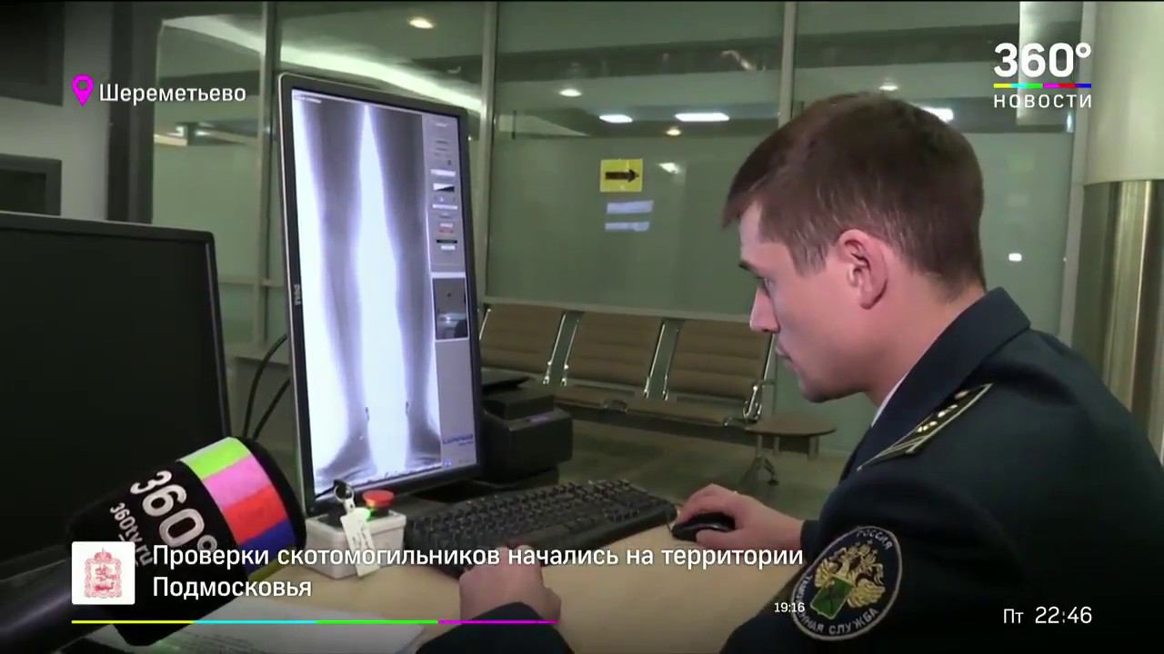 Какую контрабанду в Шереметьево находят чаще всего смотреть онлайн