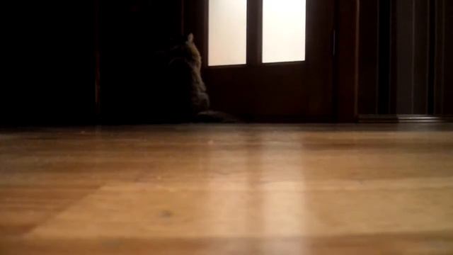 Когда мама в ванной смотреть онлайн