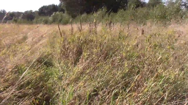 Лохин остров что-то новое и не только.