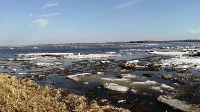 #природароссии #живаяприрода #собака смотреть онлайн