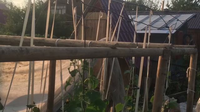 Садовый парник своими руками. За один день