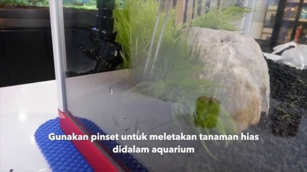 BOYU AKUARIUM  EC-400