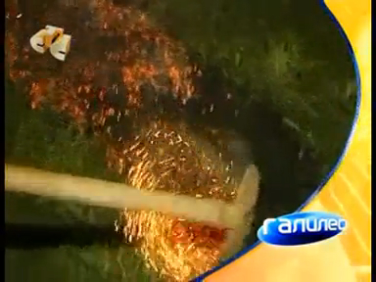 Хождение по углям, углехождение. Программа 